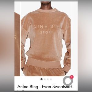 Evan sweatshirt in size small taupe velour. Anine Bing